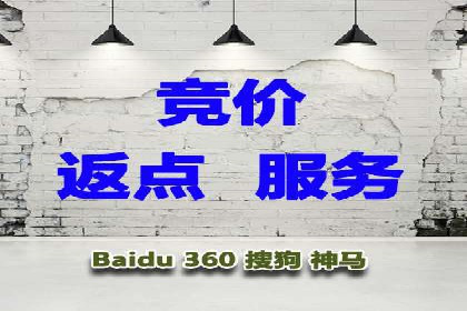 解析SEM推广代运营公司的成功案例及效果